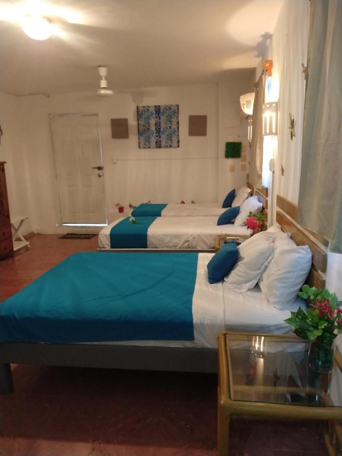 コスメルCasa San Miguel 1アパートメント エクステリア 写真
