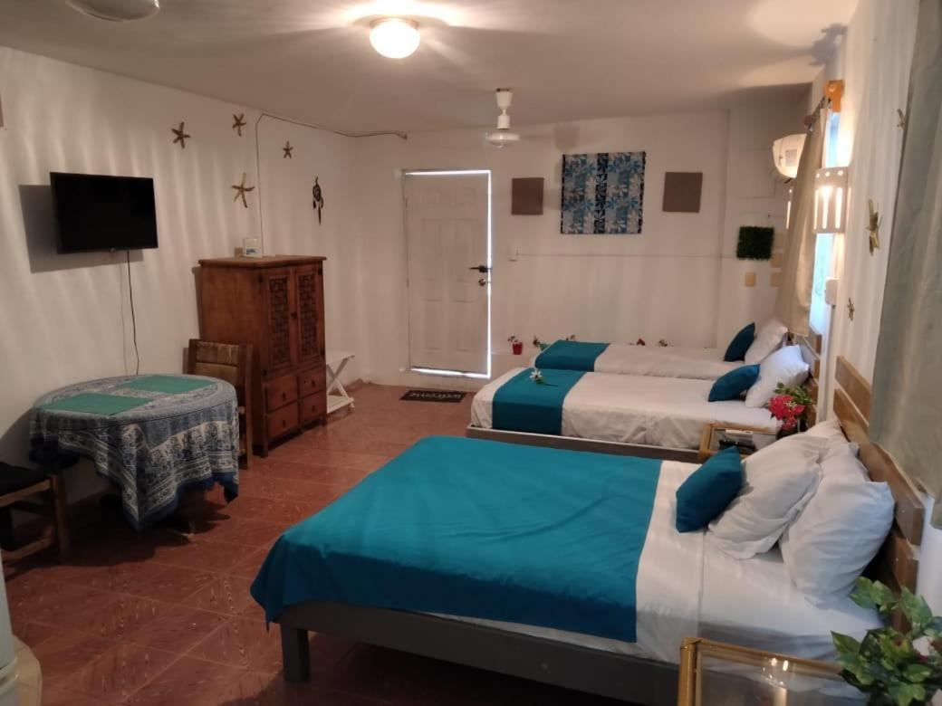 コスメルCasa San Miguel 1アパートメント エクステリア 写真